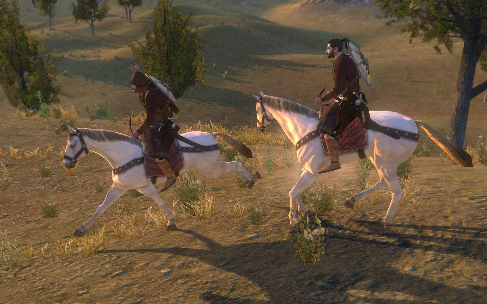 Mount & Blade: Warband screenshot 1 - Android mod game interface
